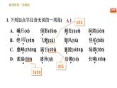 部编版八年级上册语文习题课件 第3单元 10 三峡