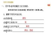 部编版八年级上册语文习题课件 第3单元 常考专项真题练（阅读古代山水游记，体悟作者情怀）