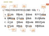 部编版八年级上册语文习题课件 第1单元 1 消息二则