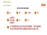 部编版八年级上册语文习题课件 第1单元 3 “飞天”凌空——跳水姑娘吕伟夺魁记