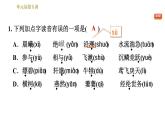 部编版八年级上册语文习题课件 第3单元 单元易错专训