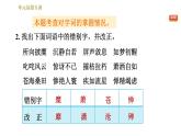 部编版八年级上册语文习题课件 第1单元 单元易错专训