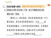 部编版八年级上册语文习题课件 第1单元 单元易错专训