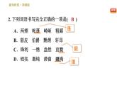 部编版八年级上册语文习题课件 第2单元 8 列夫•托尔斯泰