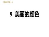 部编版八年级上册语文习题课件 第2单元 9 美丽的颜色