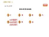 部编版八年级上册语文习题课件 第2单元 9 美丽的颜色