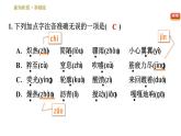 部编版八年级上册语文习题课件 第2单元 9 美丽的颜色