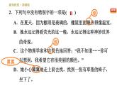 部编版八年级上册语文习题课件 第2单元 9 美丽的颜色
