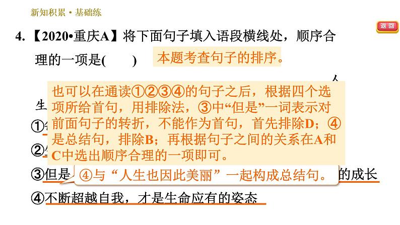 部编版八年级上册语文习题课件 第2单元 9 美丽的颜色第8页