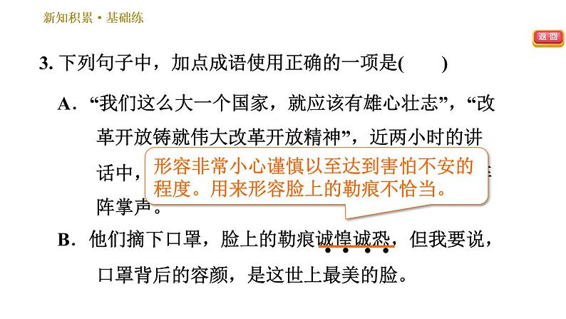 部编版八年级上册语文习题课件 第2单元 8 列夫•托尔斯泰第6页