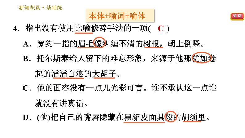 部编版八年级上册语文习题课件 第2单元 8 列夫•托尔斯泰第8页