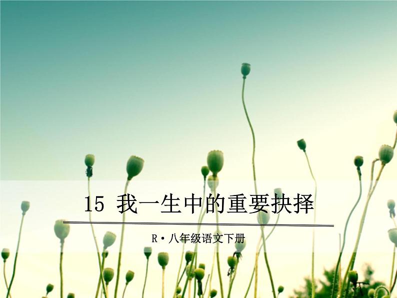 15 我一生中的重要抉择 课件01