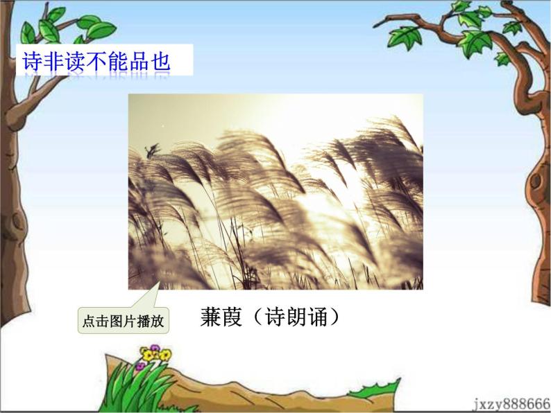 综合性学习 课件08