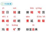 19课登勃朗峰(共46张PPT)