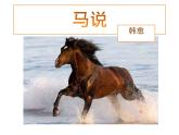 23课《马说》PPT课件(共51张PPT)