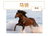 23课《马说》PPT课件(共51张PPT)