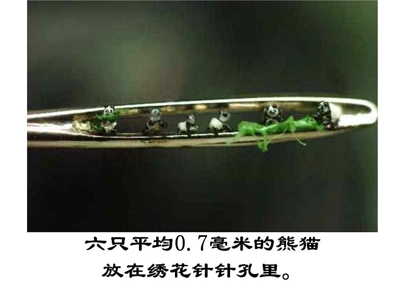 11课《核舟记》优秀课件（73张）04