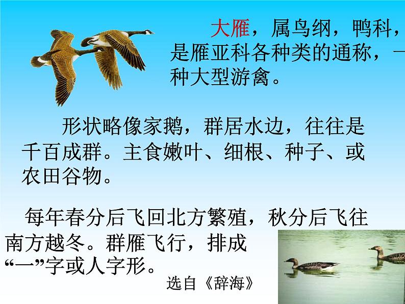 7.《大雁归来》课件(共32张PPT)02