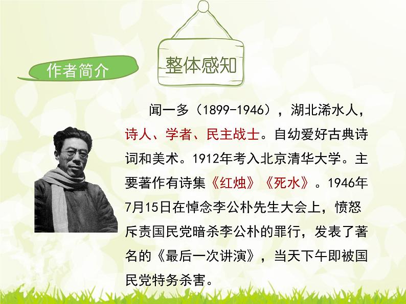 13.《最后一次讲演》课件(共27张PPT)第5页