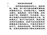 23课马说(共57张PPT)