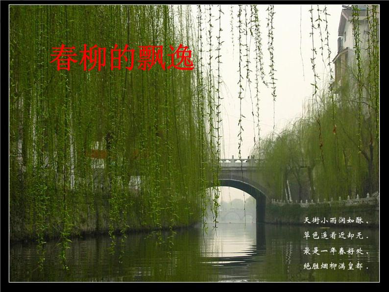 5课《大自然的语言》优秀课件（78张）第4页