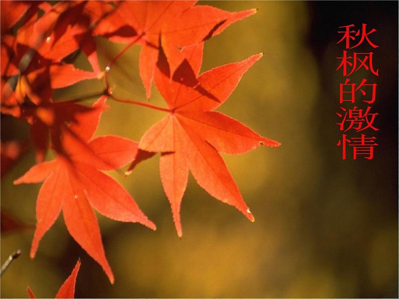 5课《大自然的语言》优秀课件（78张）第6页