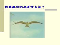初中语文人教部编版八年级下册7*大雁归来备课ppt课件