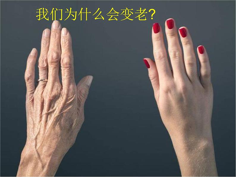 8、时间的脚印（精、要、全，43张PPT）(共43张PPT)07