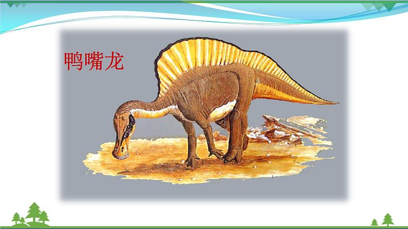部编版 八年级下册语文 6 《阿西莫夫短文两篇》 课件+教案+练习+学案+素材05