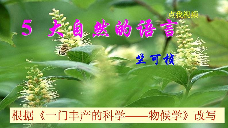 部编版 八年级下册语文 5 《大自然的语言》 课件+教案+练习+学案+素材01