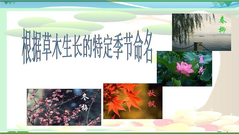 部编版 八年级下册语文 5 《大自然的语言》 课件+教案+练习+学案+素材07