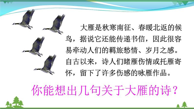 部编版 八年级下册语文 7《 大雁归来》 课件+教案+练习+学案+素材08