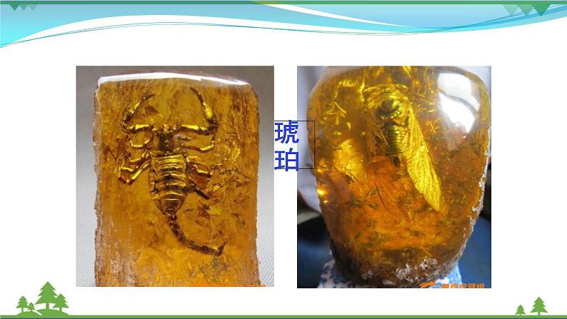 部编版 八年级下册语文 8 《时间的脚印》 课件+教案+练习+学案+素材07