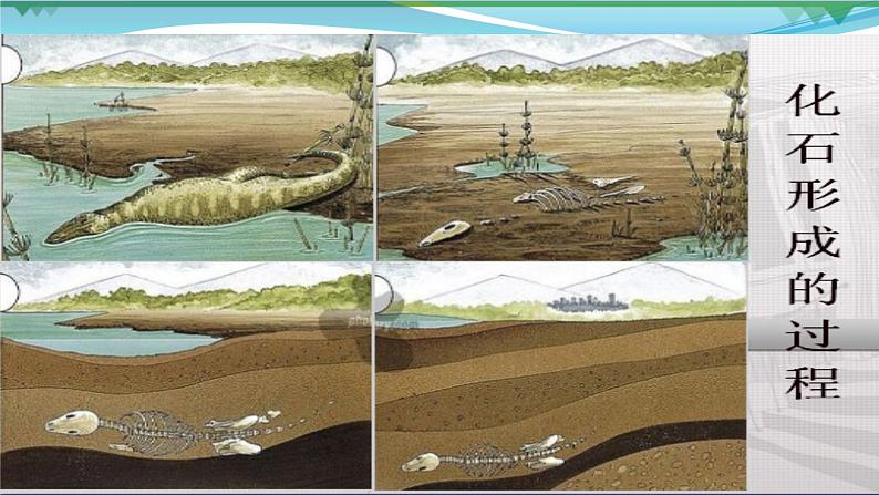 部编版 八年级下册语文 8 《时间的脚印》 课件+教案+练习+学案+素材08