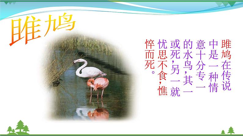 部编版 八年级下册语文 12《诗经》二首 课件+教案+练习+学案+素材06