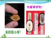 部编版 八年级下册语文 11《核舟记》 课件+教案+练习+学案+素材