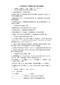 期末复习综合检测题 2020—2021学年部编版语文八年级下册（word版 含答案）