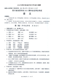 2021年四川省自贡市中考语文真题