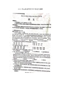 2021年山东省枣庄市中考语文真题