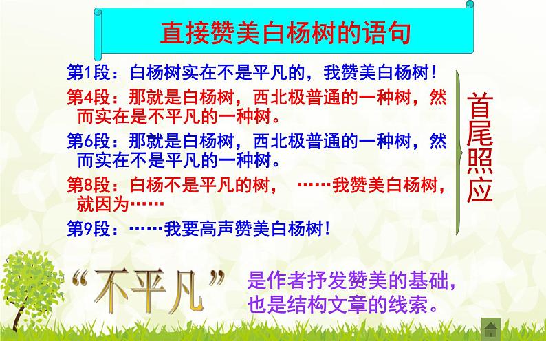 人教部编版八年级上册语文《白杨礼赞》课件04