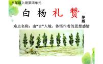 2020-2021学年14 白杨礼赞背景图课件ppt