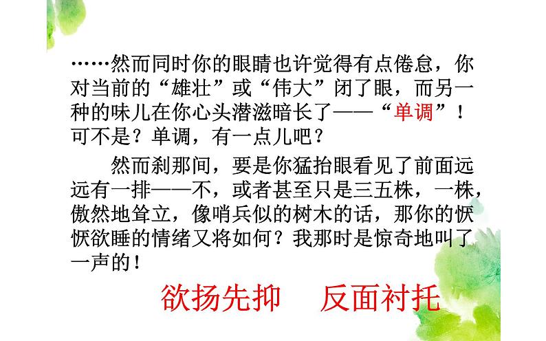 人教部编版八年级上册语文《白杨礼赞》课件207