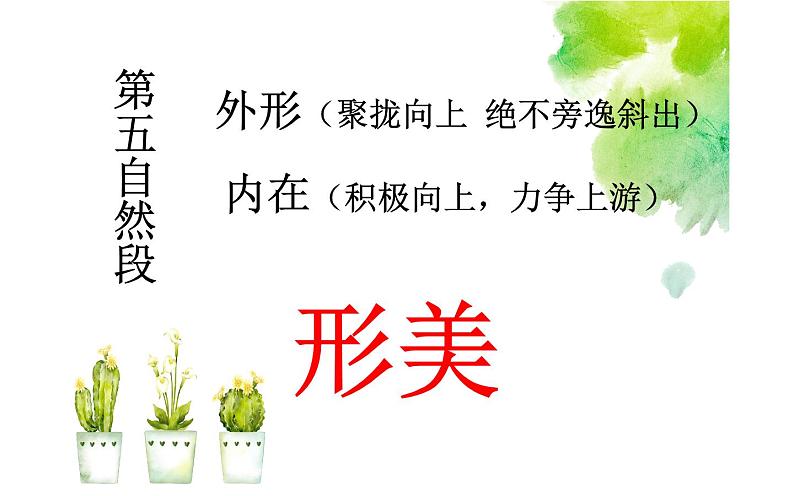 人教部编版八年级上册语文《白杨礼赞》课件208