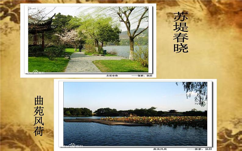 人教部编版八年级上册语文《钱塘湖春行》教学课件第3页