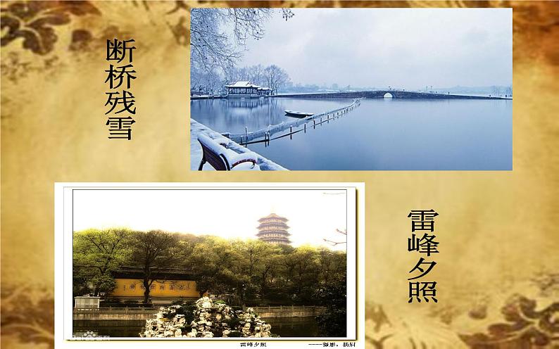 人教部编版八年级上册语文《钱塘湖春行》教学课件第4页