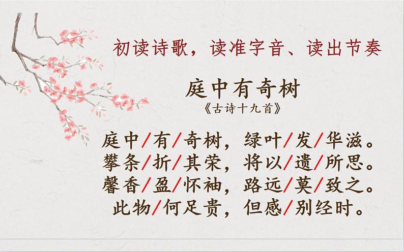 人教部编版八年级上册语文《庭中有奇树》课件03