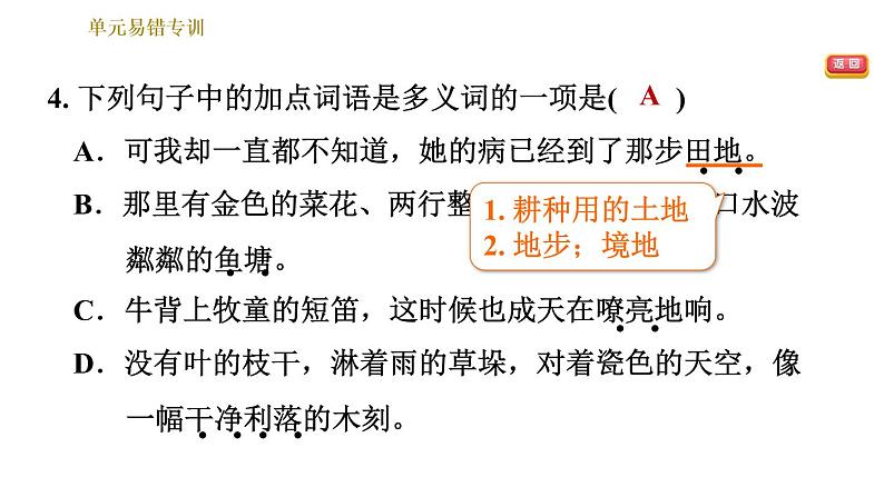 部编版七年级上册语文习题课件 第2单元 单元易错专训第6页