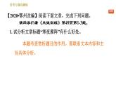 部编版七年级上册语文习题课件 第3单元 常考专项真题练（理解文章标题的含义及作用）