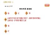 部编版七年级上册语文习题课件 第1单元 3 雨的四季