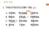 部编版七年级上册语文习题课件 第1单元 3 雨的四季